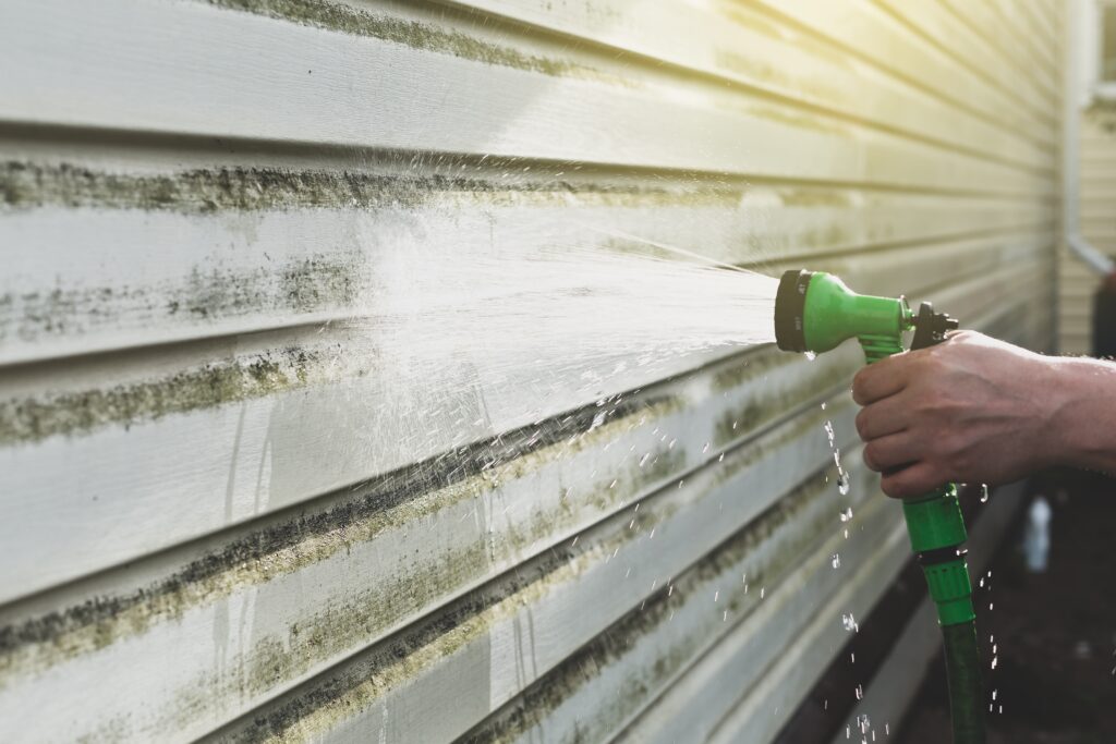 Residential House Washing